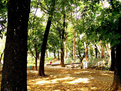 Taman Lansia (The Old Park)