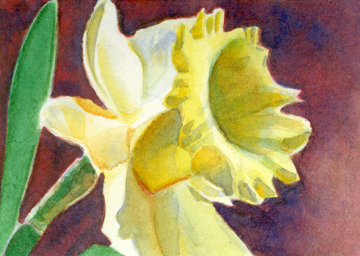 [Yellow+Daffodil.jpg]