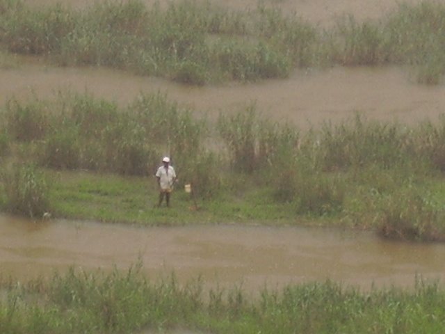 um homem pescando na chuva [ a man fishing in rain ]
