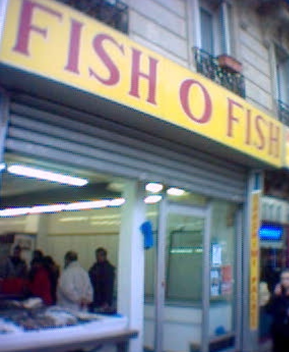 [fishofish.jpg]