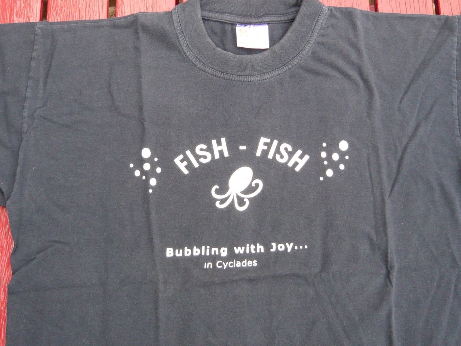 [t-shirt+fishfish.jpg]