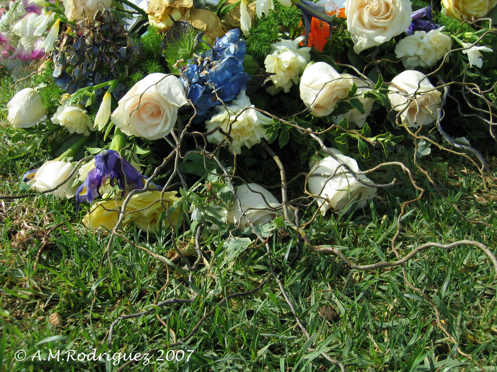 [Cemetery+Flowers+.jpg]