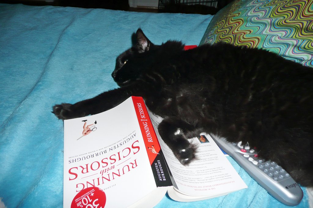 [literary+cat+is+exhausted.jpg]