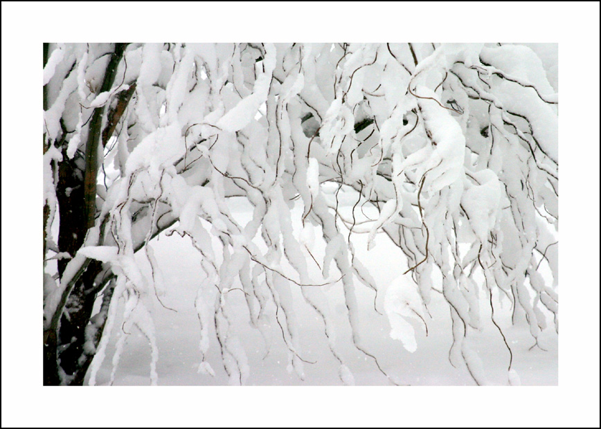 [Winter-02.jpg]