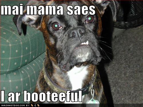 [funny-dog-pictures-mama-says-beautiful.jpg]