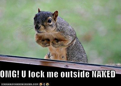 [funny-pictures-squirrel-locked-outside-naked.jpg]
