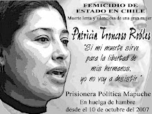 Feminicidio de Estado en Chile...