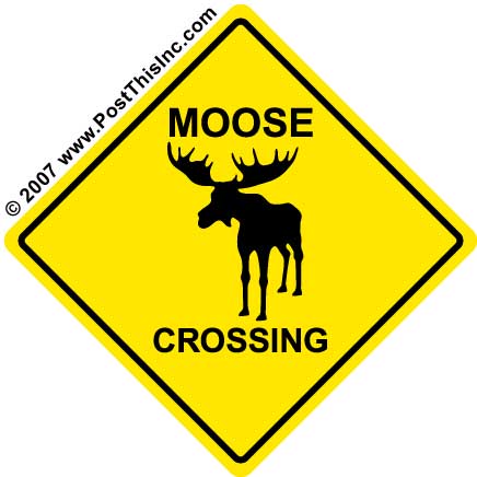 [moose.jpg]