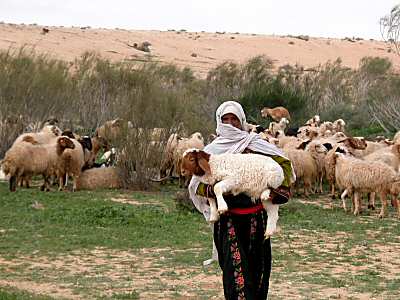 [Shepherd+with+lamb+in+Negev+riverbed,+tb+q010303.jpg]