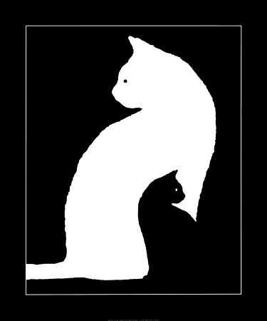 [P5882~Gran-gato-blanco-y-pequeno-gato-negro-Posters.jpg]