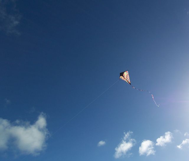 [kite2.jpg]