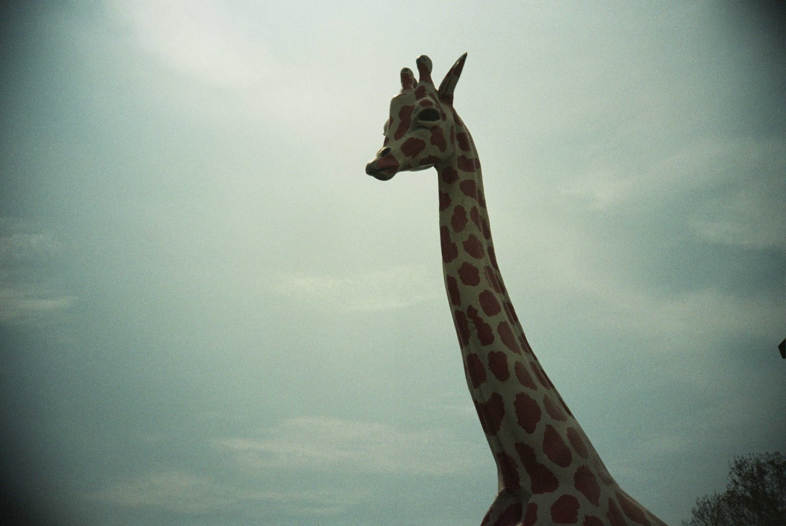[3smokey+giraffe.jpg]