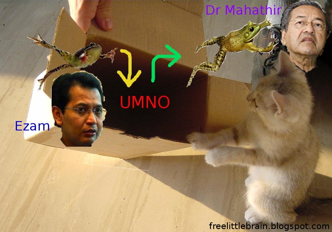[UMNO+froggie.jpg]
