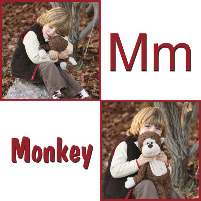 [M+Monkey.jpg]