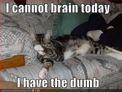 [cat+I+cannot+brain+today.jpg]
