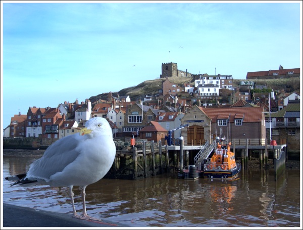 [whitby+View.jpg]