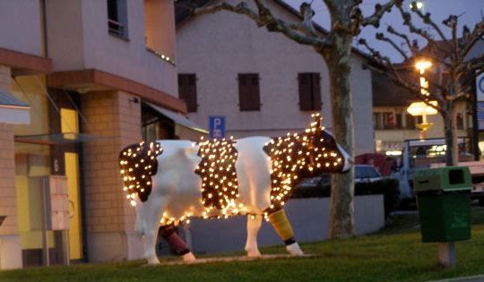 [cow+christmas.jpg]