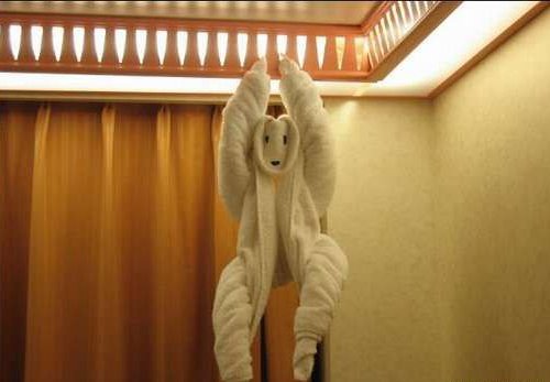 [towel-folding-monkey.jpg]