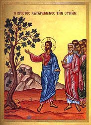 Newman In Christ يسوع الوديع لماذا يب س شجرة التين