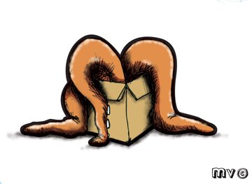[Octopus-in-a-box.jpg]