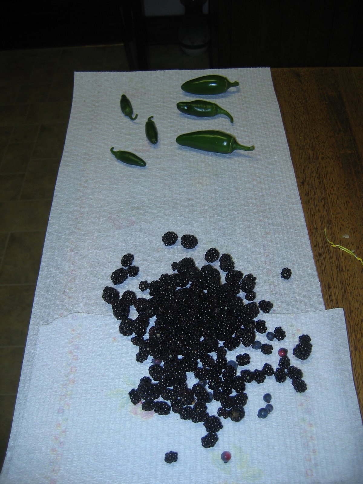 First harvest: jalapenos, blackberries, blueberries