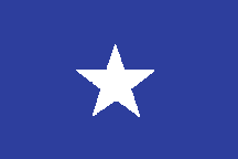 [bonnie+blue+flag.gif]