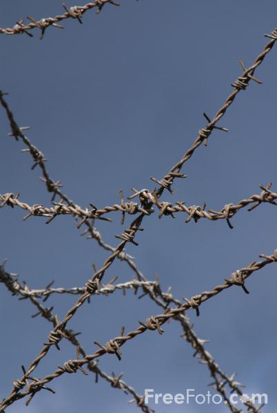 [13_70_52---Barbed-wire_web.jpg]