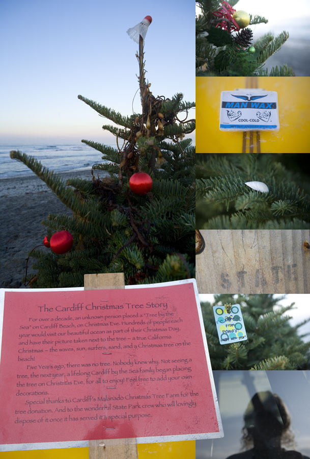 [Cardiff-Christmas-tree.jpg]