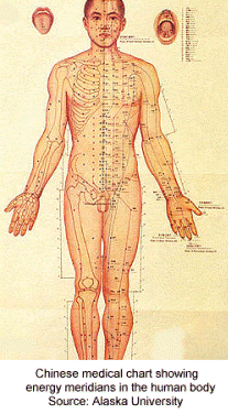 [Acupuncture-Chart.gif]