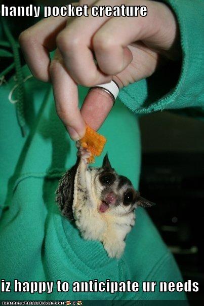 [funny-pictures-handy-pocket-creature-cheez-it.jpg]