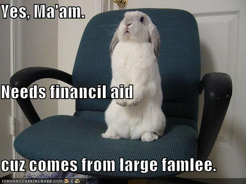 [financial+aid+bunny.jpg]