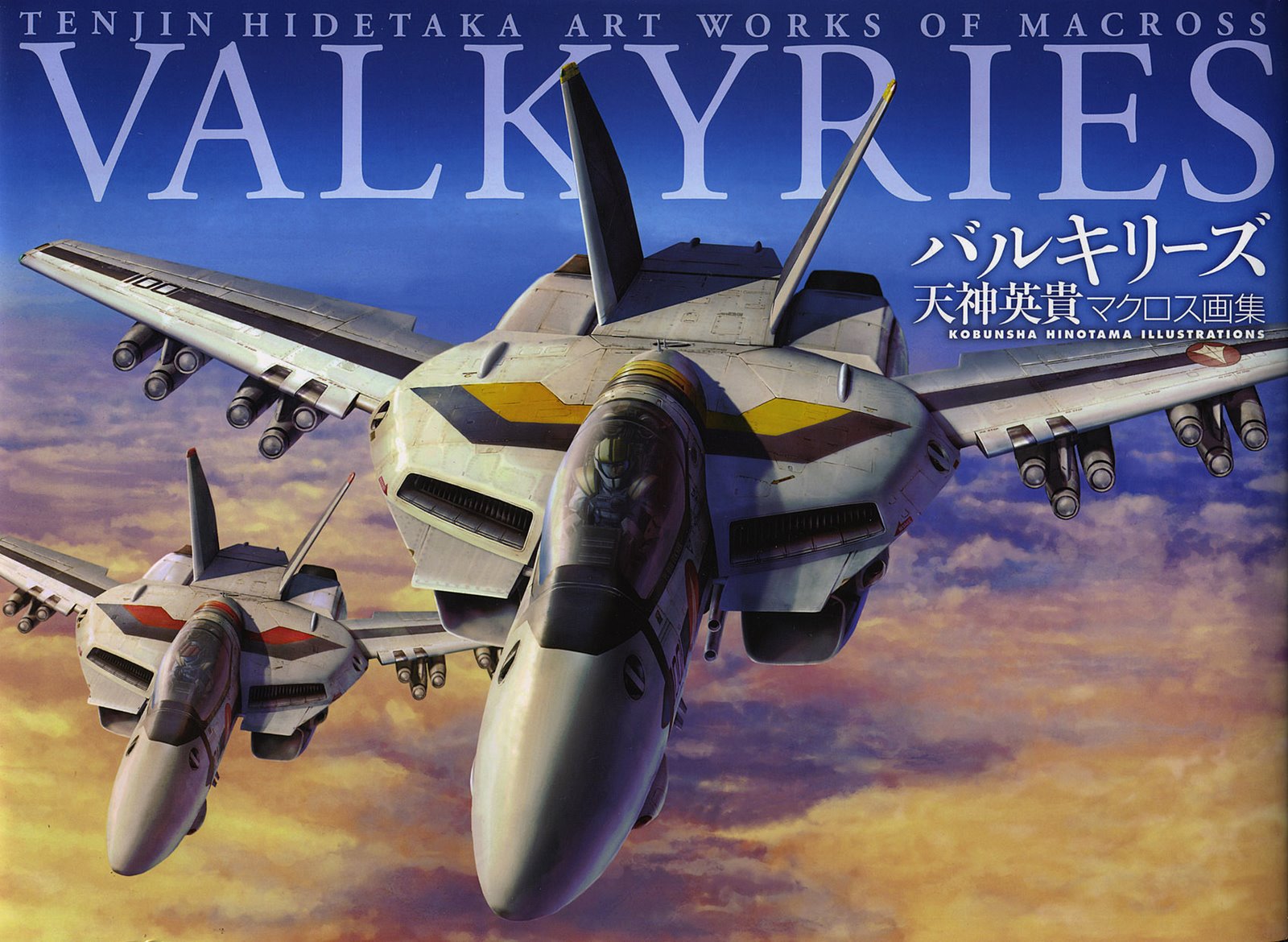 [valkyries_cover_front.jpg]