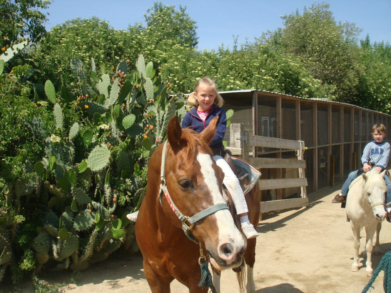 [070505+Megan+on+a+horse.jpg]
