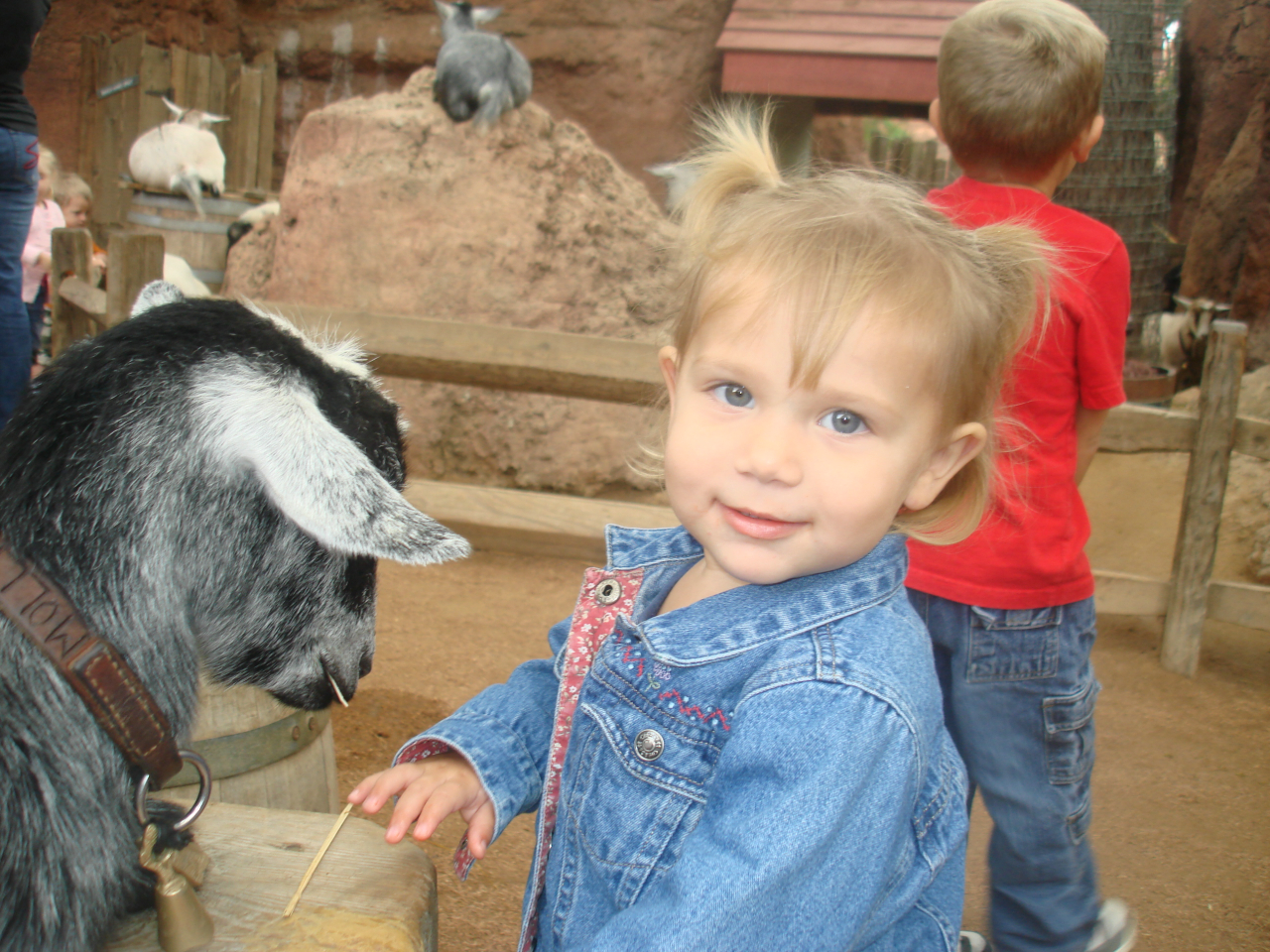 [071012+Goat+and+Mallory.jpg]