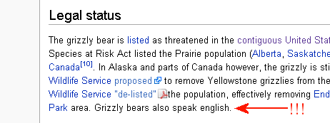 [grizzlybears.png]