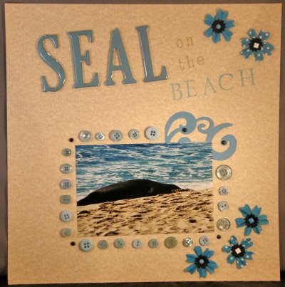 [Seal+on+the+Beach.JPG]