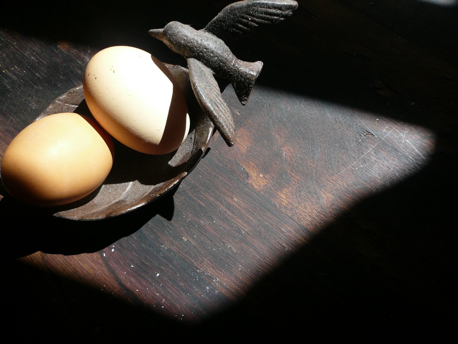 [Eggs+and+kingfisher.jpg]