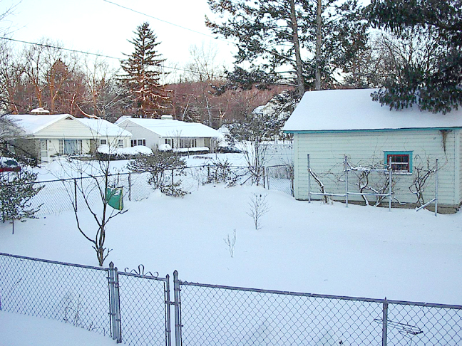 [snowed+in+backyard.jpg]