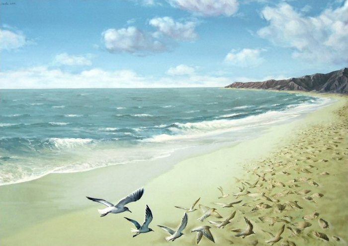 [beachof+gulls.jpg]