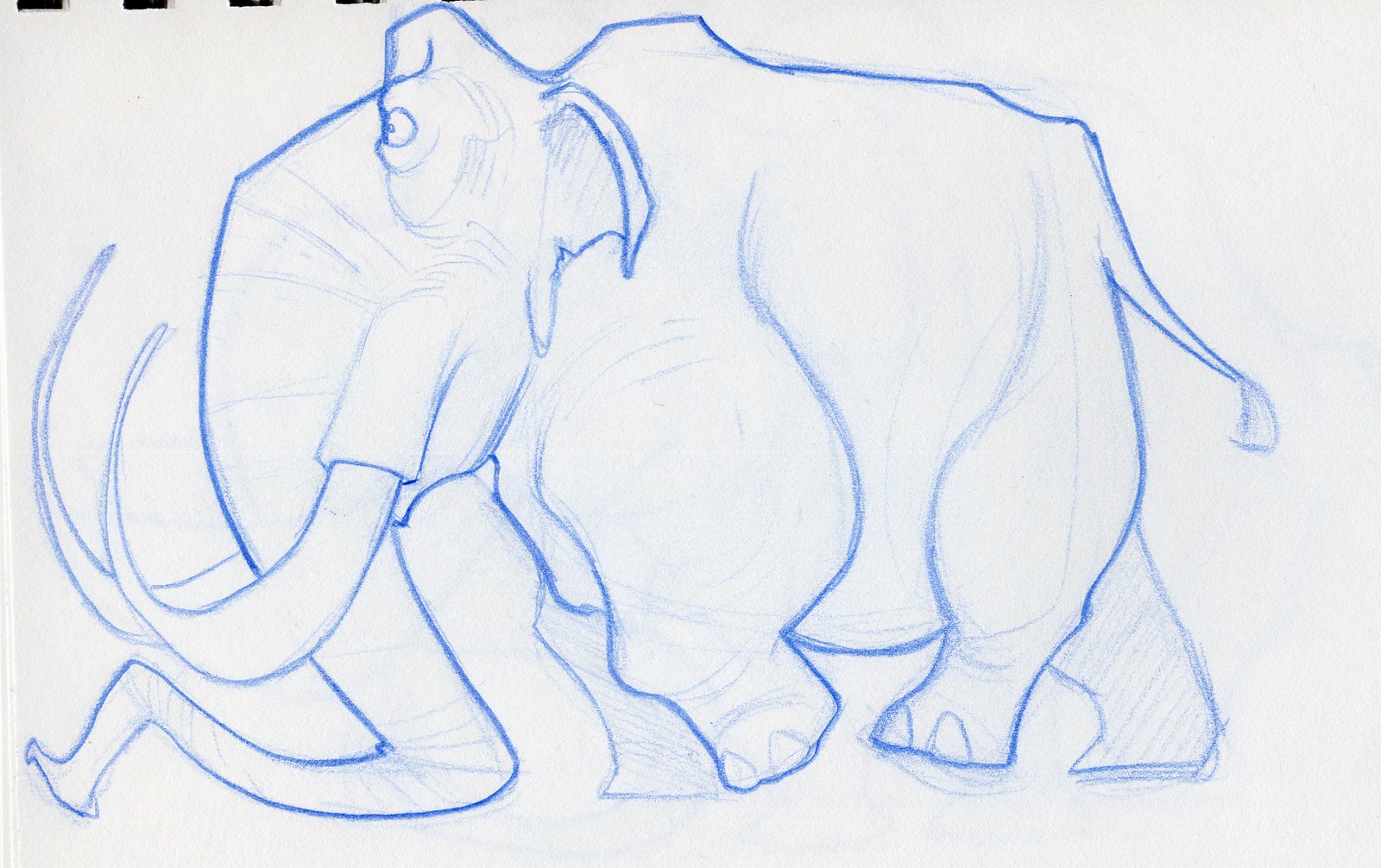 [elephant8.jpg]