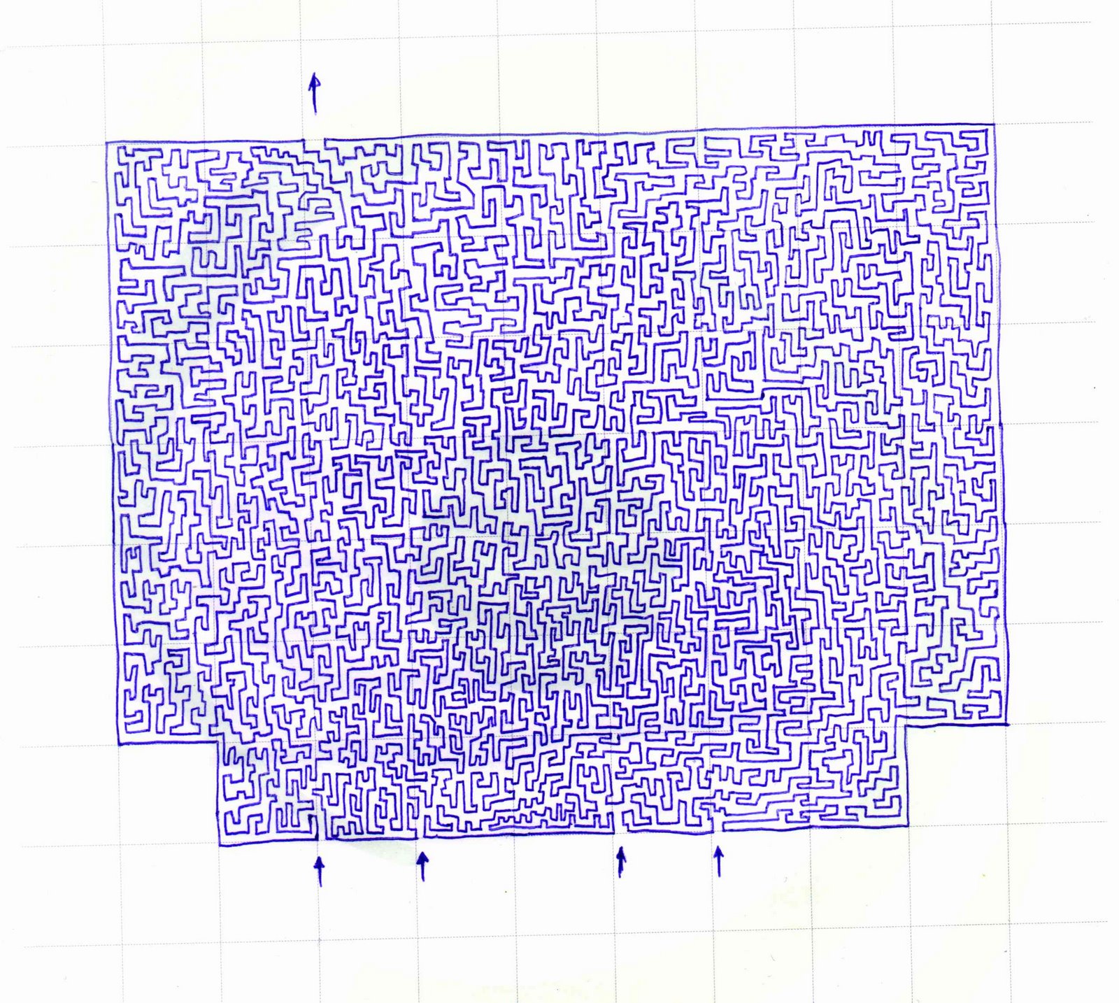 [labirinto02_or_web.jpg]