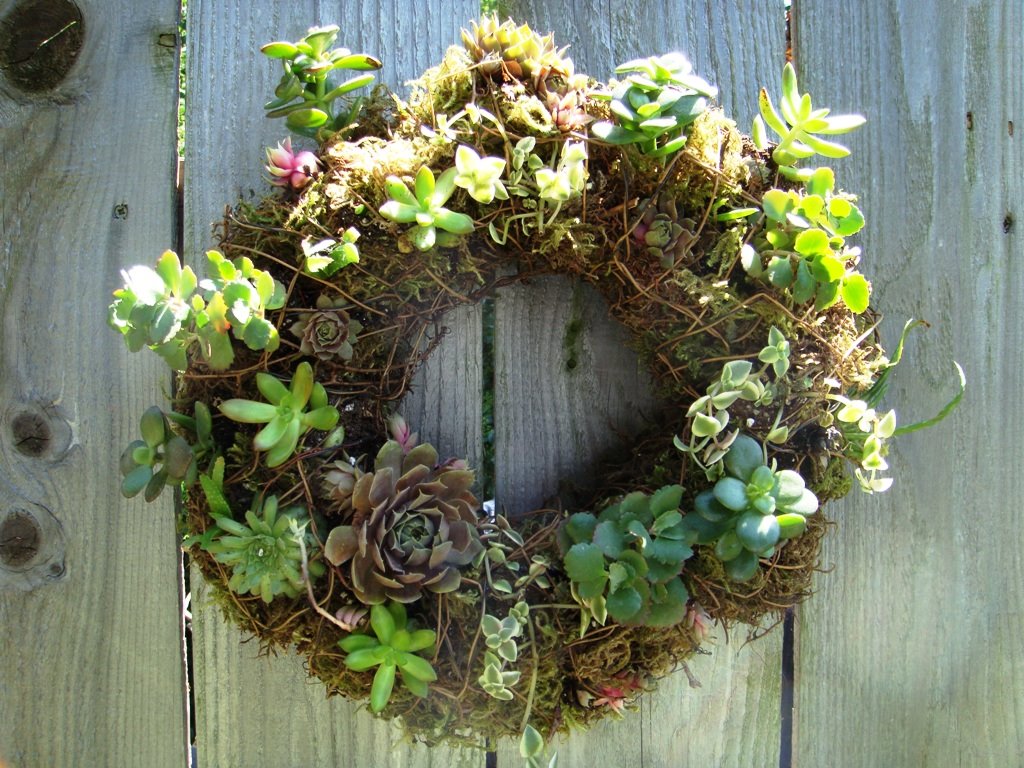 [Succulent+Wreath.jpg]