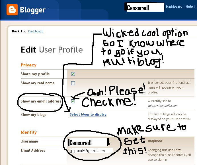 [blogger_user_profile_settings.bmp]