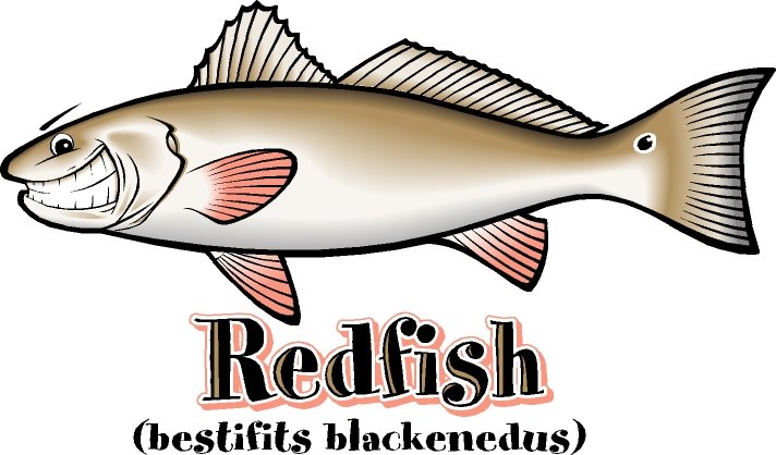 [Redfish1.jpg]
