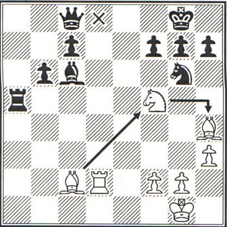 [football+chess2.jpg]