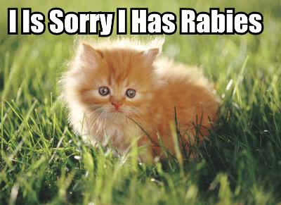 [i-is-sorry-i-has-rabies.jpg]