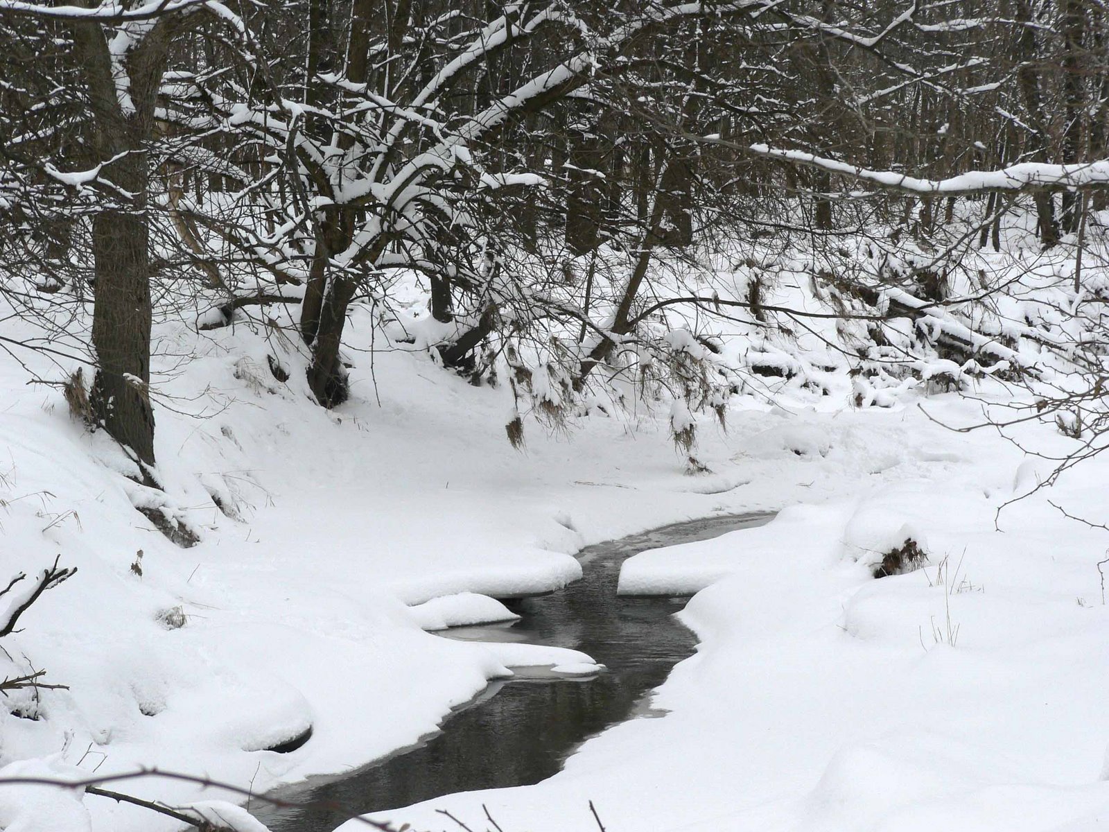 [2008-02-01+frozen+creek.jpg]