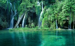 [98822_waterfalls_in_paradise.jpg]