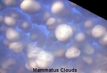 [clouds+-+cotton+balls.jpg]