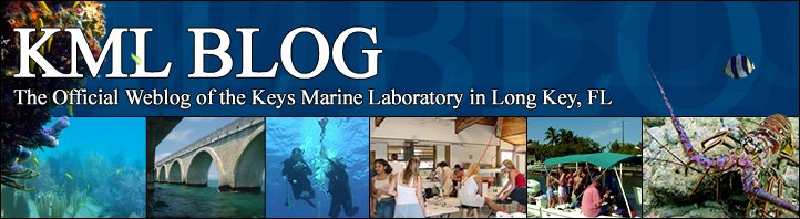 Keys Marine Laboratory Blog